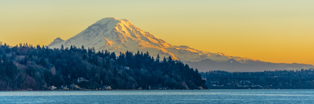 Washington State Taxes: What Residents Really Pay